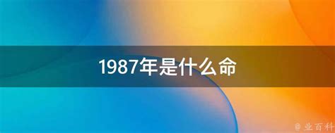 1987年是什么命|1987年出生五行是什么